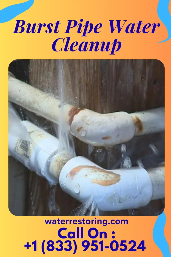 Burst Pipe Water Cleanup in Atglen, PA