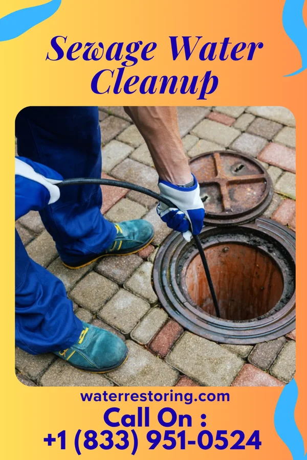 Sewage Water Cleanup in Atglen, PA